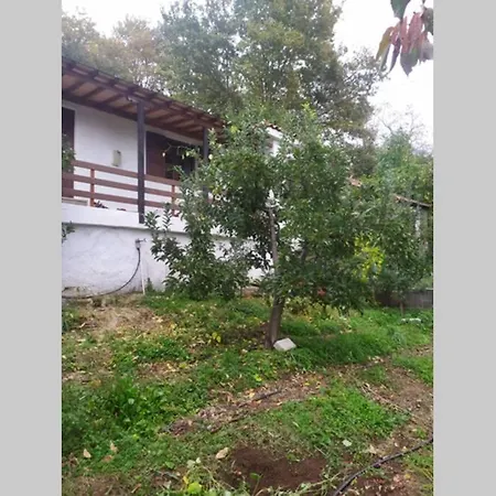 בית נופש Maro's Agios Lavrentios