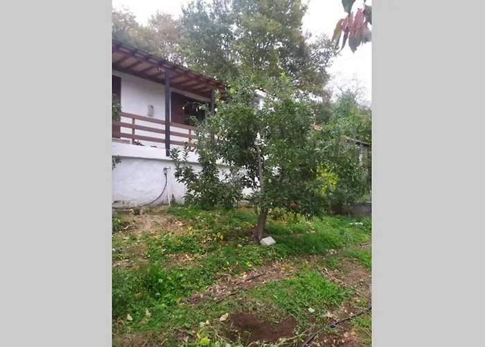 Semesterbostad Maro's Agios Lavrentios